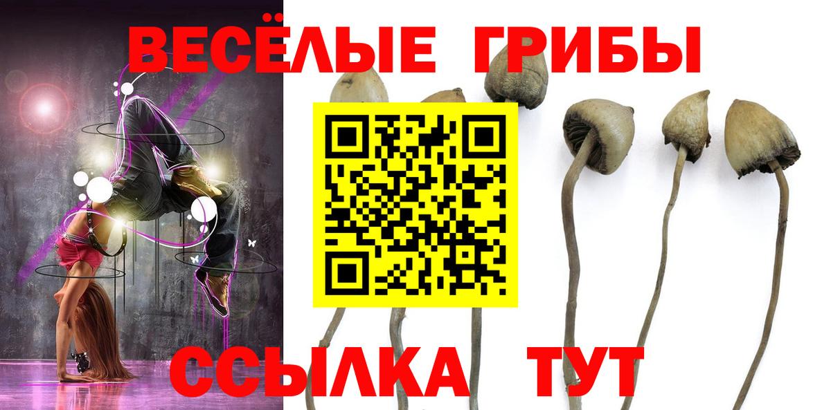Железногорск  Галлюциногенные грибы прущие грибы  Вход с VPN  Псилоцибиновые грибы мицелий 